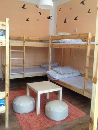 Хостелы Chilli Hostel Краков Кровать в общем 8-местном номере-6